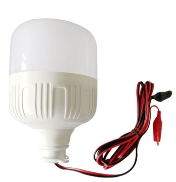 12V 36V 85V E27/B22 Energy Saving Plastic Bulb with Wire